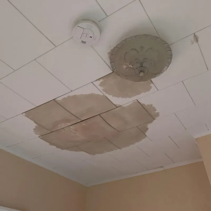 Ceiling Water Damage Repair in Cos Cob, CT